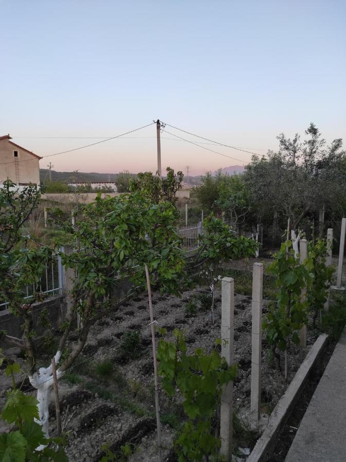 Alanthia Apartment Vlore Luaran gambar